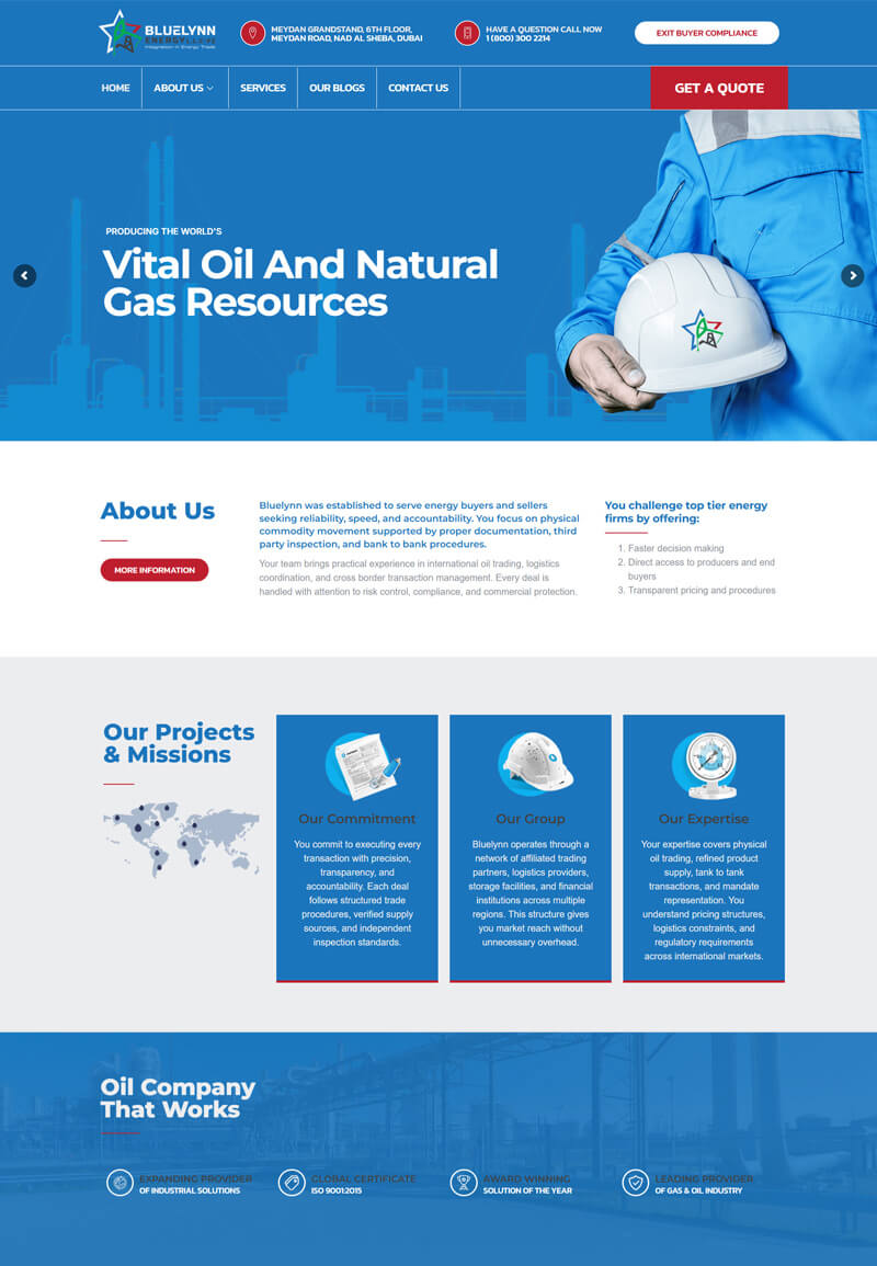 Best Web Design Portfolio | Blue Lynn In Saudi Arabia